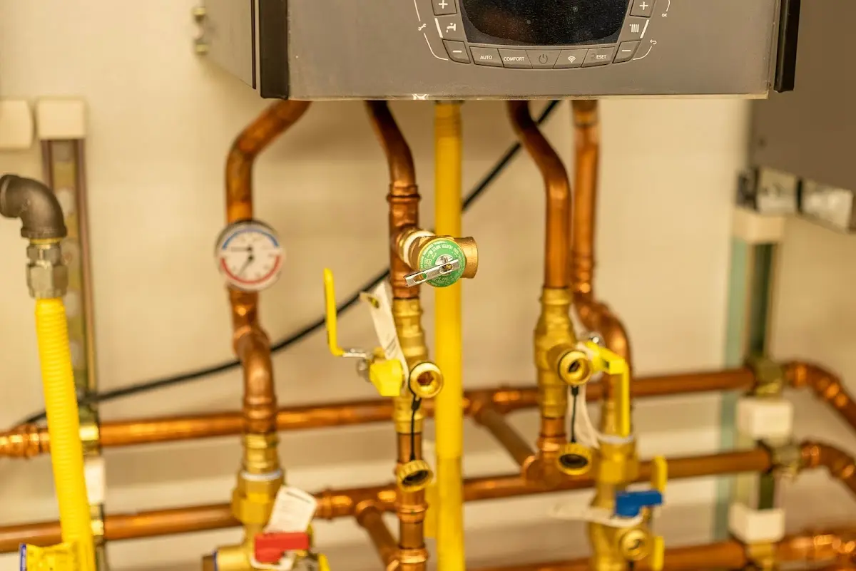 Licensed technician providing Sewer Cleanout for a homeowner in Economy